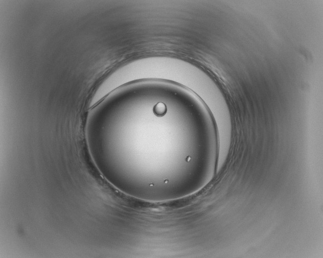 X0000115830411200911271203