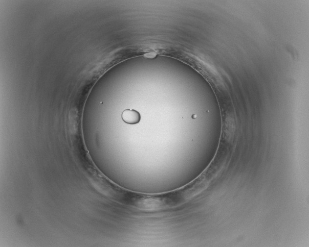 X0000115830413200911271203