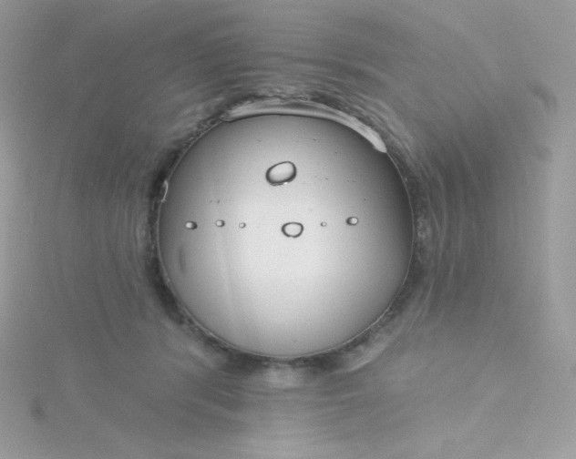 X0000115830416200911271203