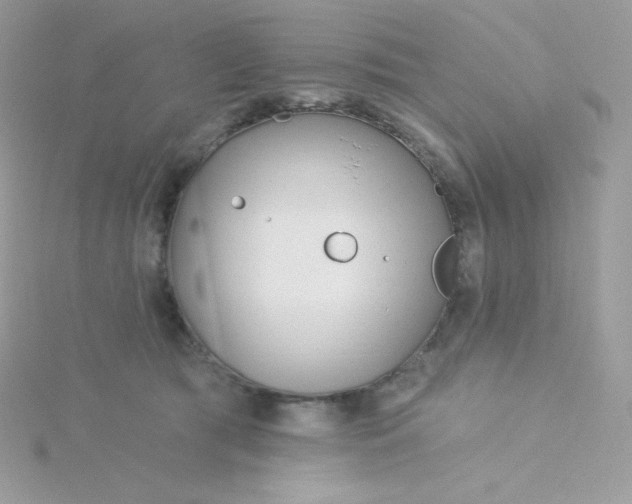 X0000115830417200911271203