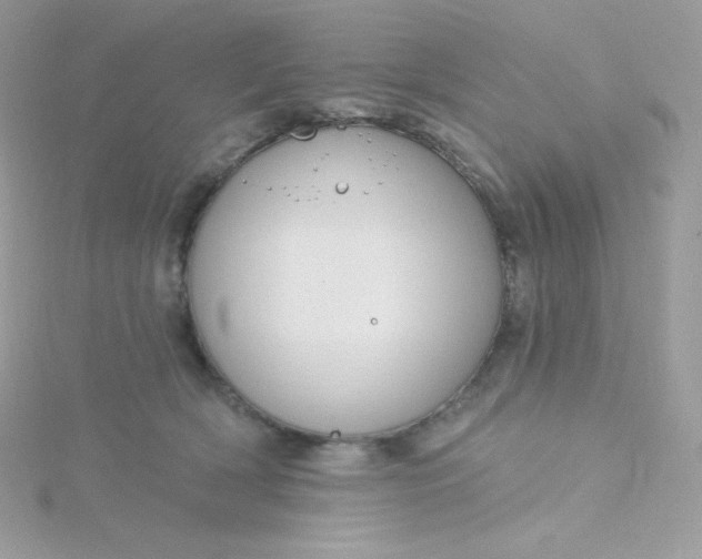 X0000115830418200911271203