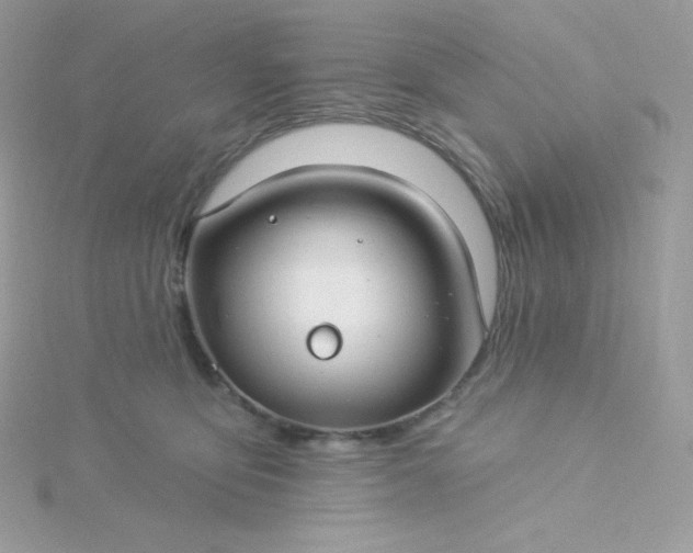 X0000115830419200911271203