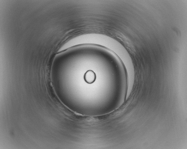 X0000115830421200911271203