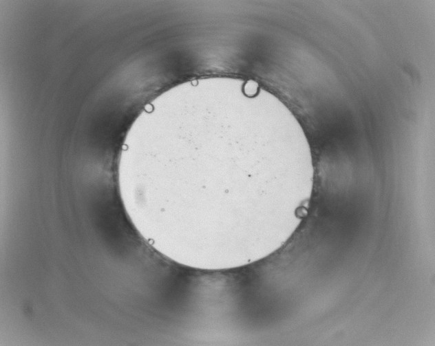 X0000115830423200911271203