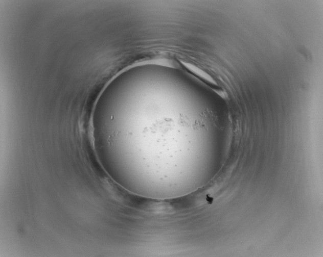 X0000115830424200911271203