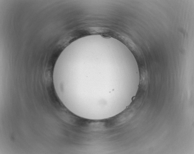 X0000115830426200911271203