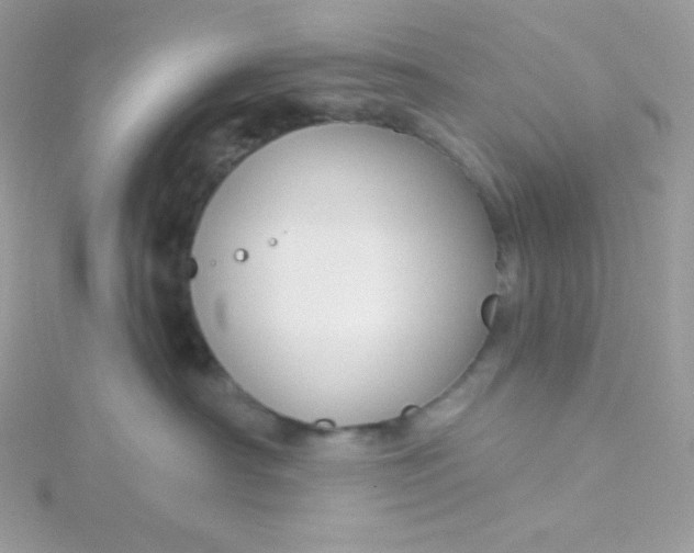 X0000115830430200911271203