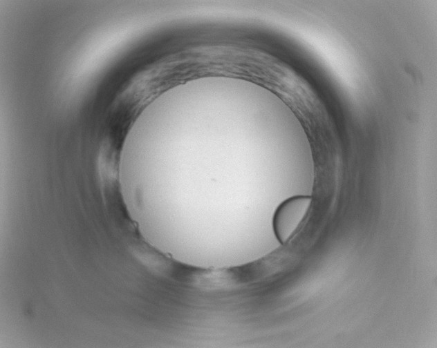 X0000115830431200911271203