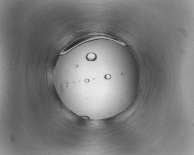 X0000115830432200911271203