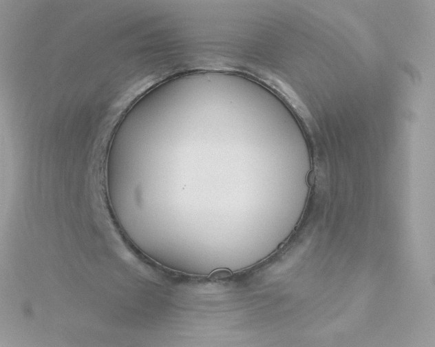 X0000115830433200911271202