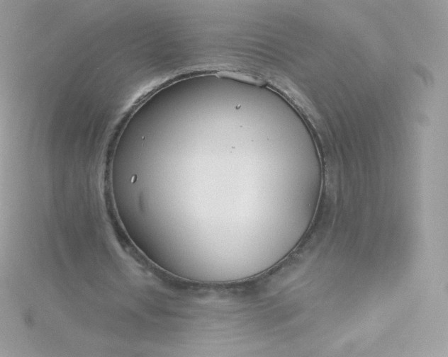 X0000115830434200911271202