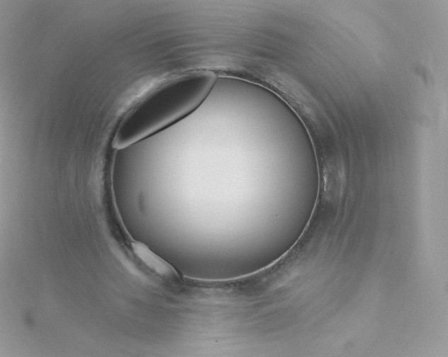 X0000115830436200911271202