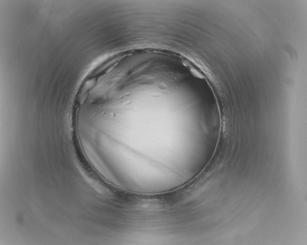 X0000115830438200911271202