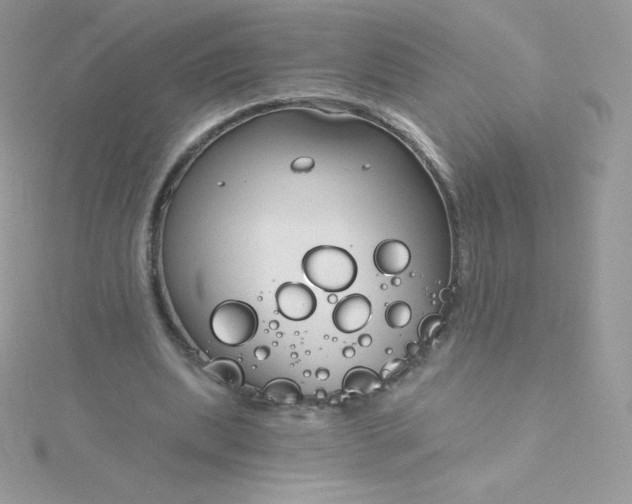 X0000115830439200911271202