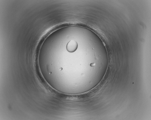 X0000115830440200911271202