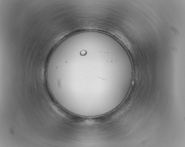 X0000115830441200911271202