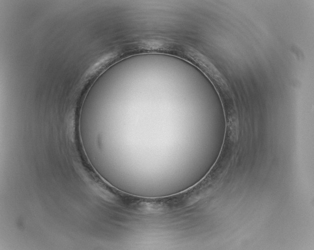 X0000115830442200911271202