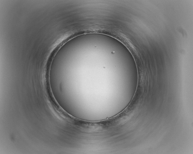 X0000115830443200911271202