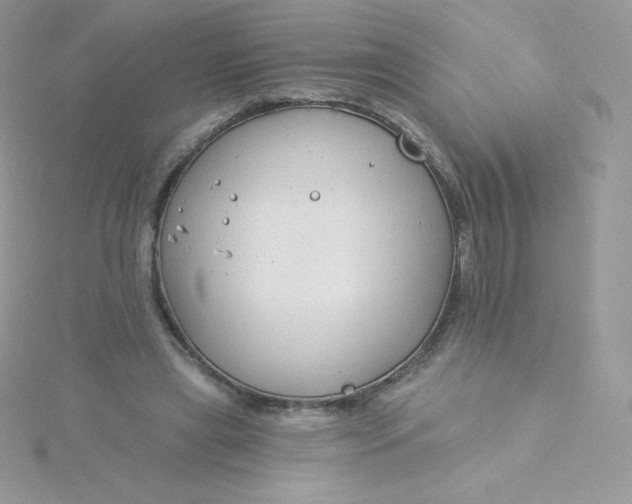 X0000115830445200911271202