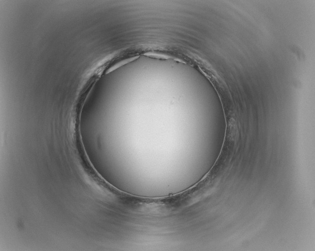 X0000115830446200911271202