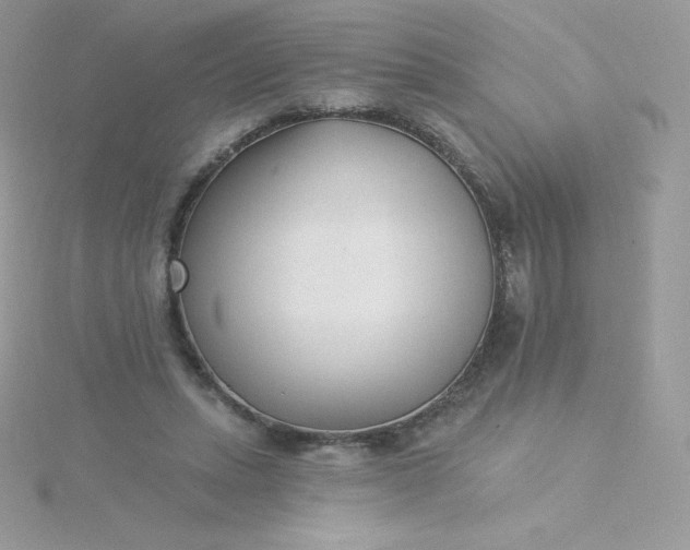 X0000115830447200911271202