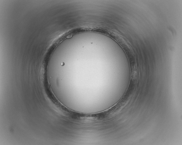 X0000115830448200911271202