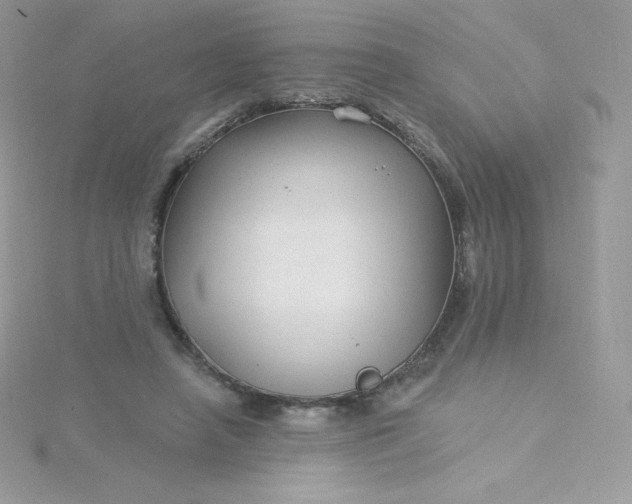 X0000115830450200911271202