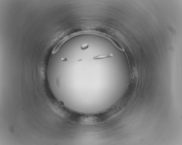 X0000115830452200911271202