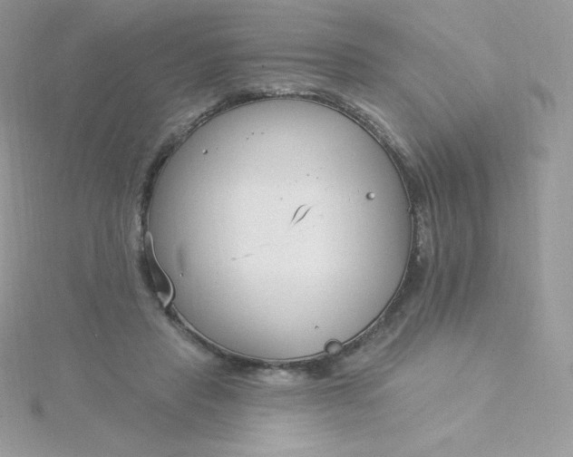 X0000115830453200911271202