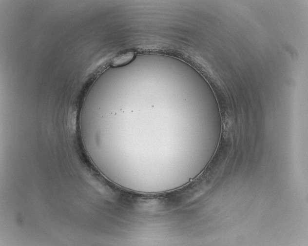 X0000115830454200911271202