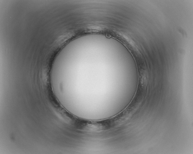 X0000115830455200911271202