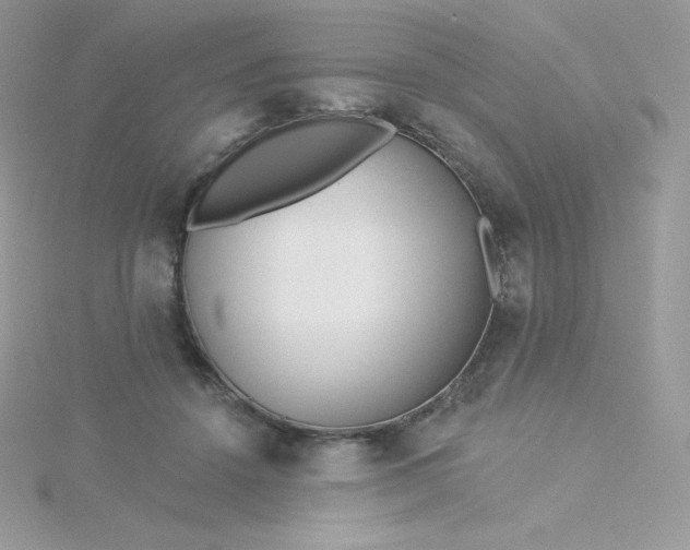 X0000115830456200911271202