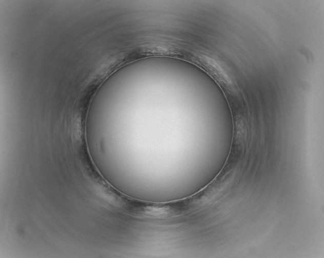 X0000115830457200911271203