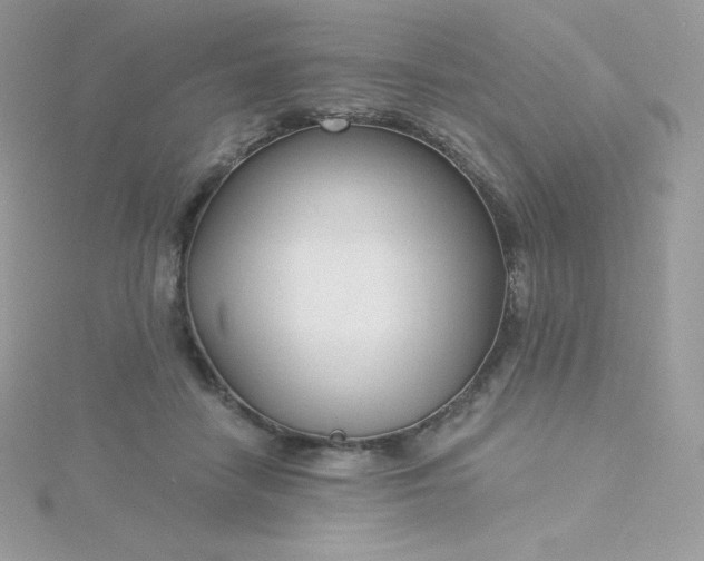 X0000115830458200911271203