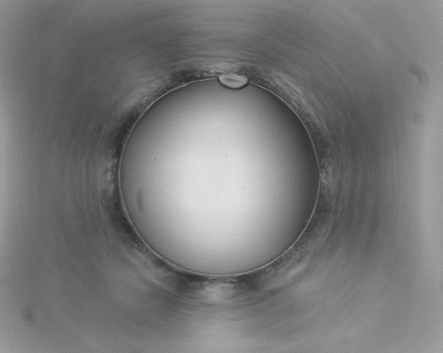 X0000115830462200911271203