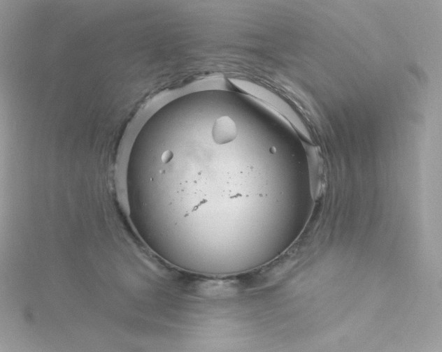 X0000115830465200911271203