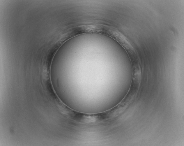 X0000115830469200911271203