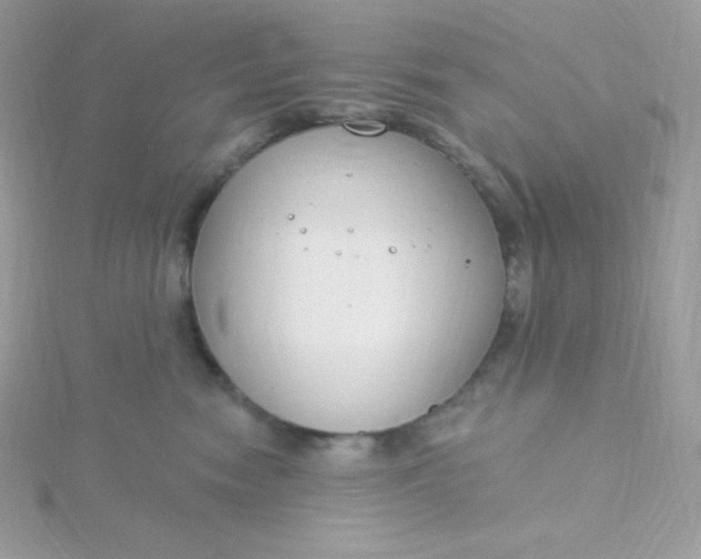 X0000115830474200911271203