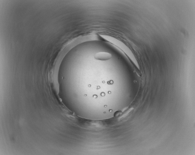 X0000115830475200911271203