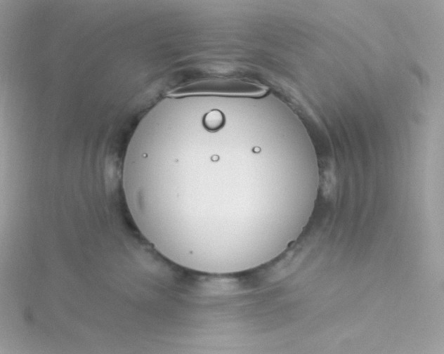 X0000115830476200911271203