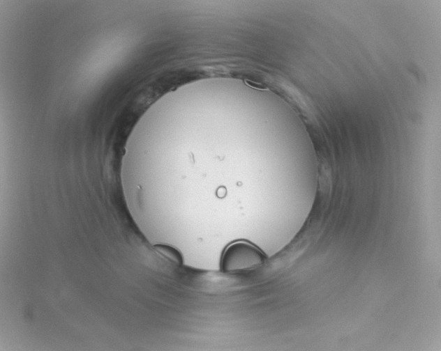 X0000115830477200911271203