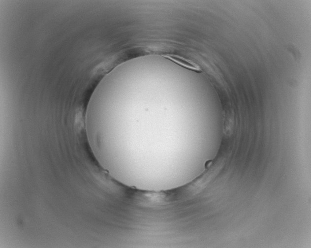 X0000115830478200911271203