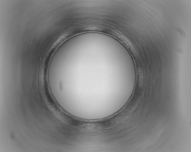 X0000115830482200911271202