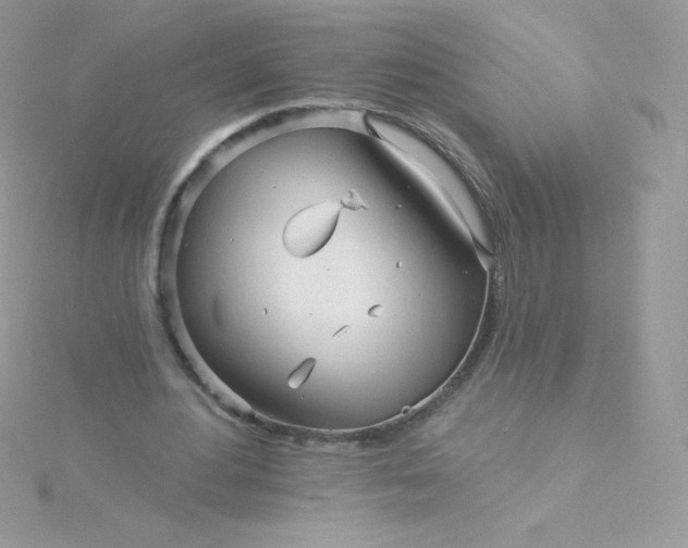 X0000115830484200911271202