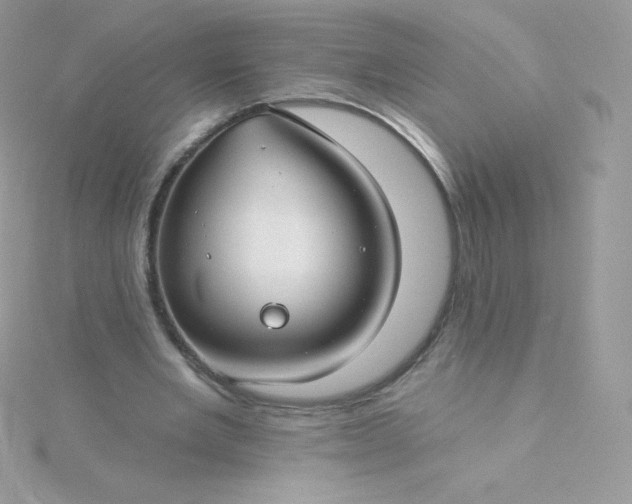 X0000115830485200911271202