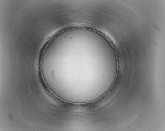 X0000115830486200911271202