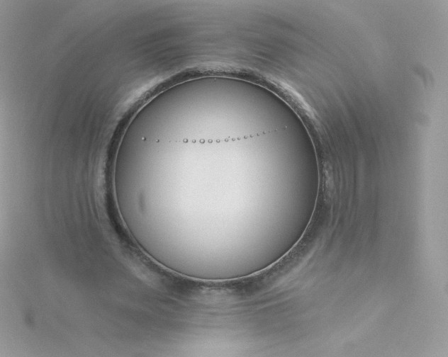 X0000115830487200911271202