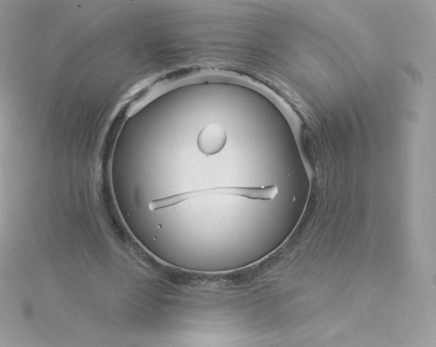 X0000115830488200911271202