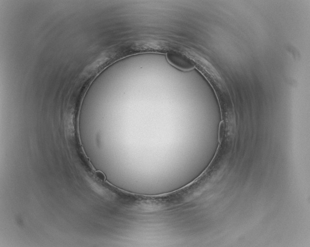 X0000115830489200911271202