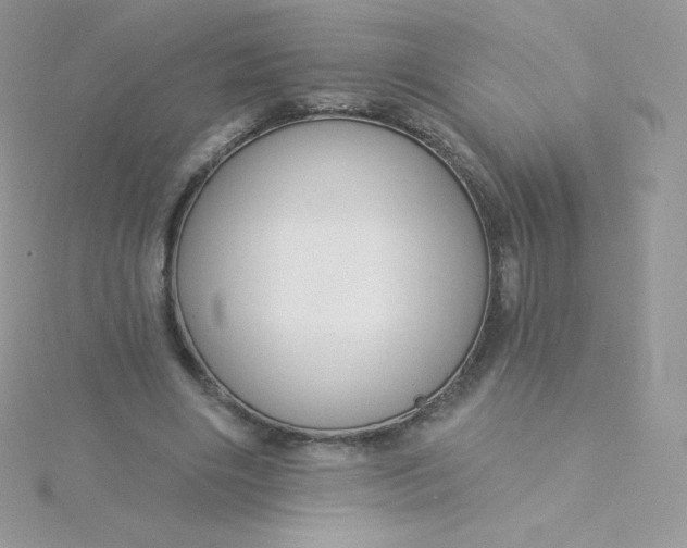 X0000115830490200911271202